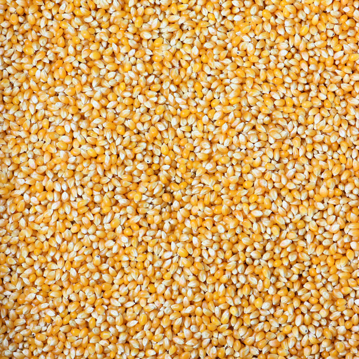 50lb Bulk Popcorn Kernels Seeds